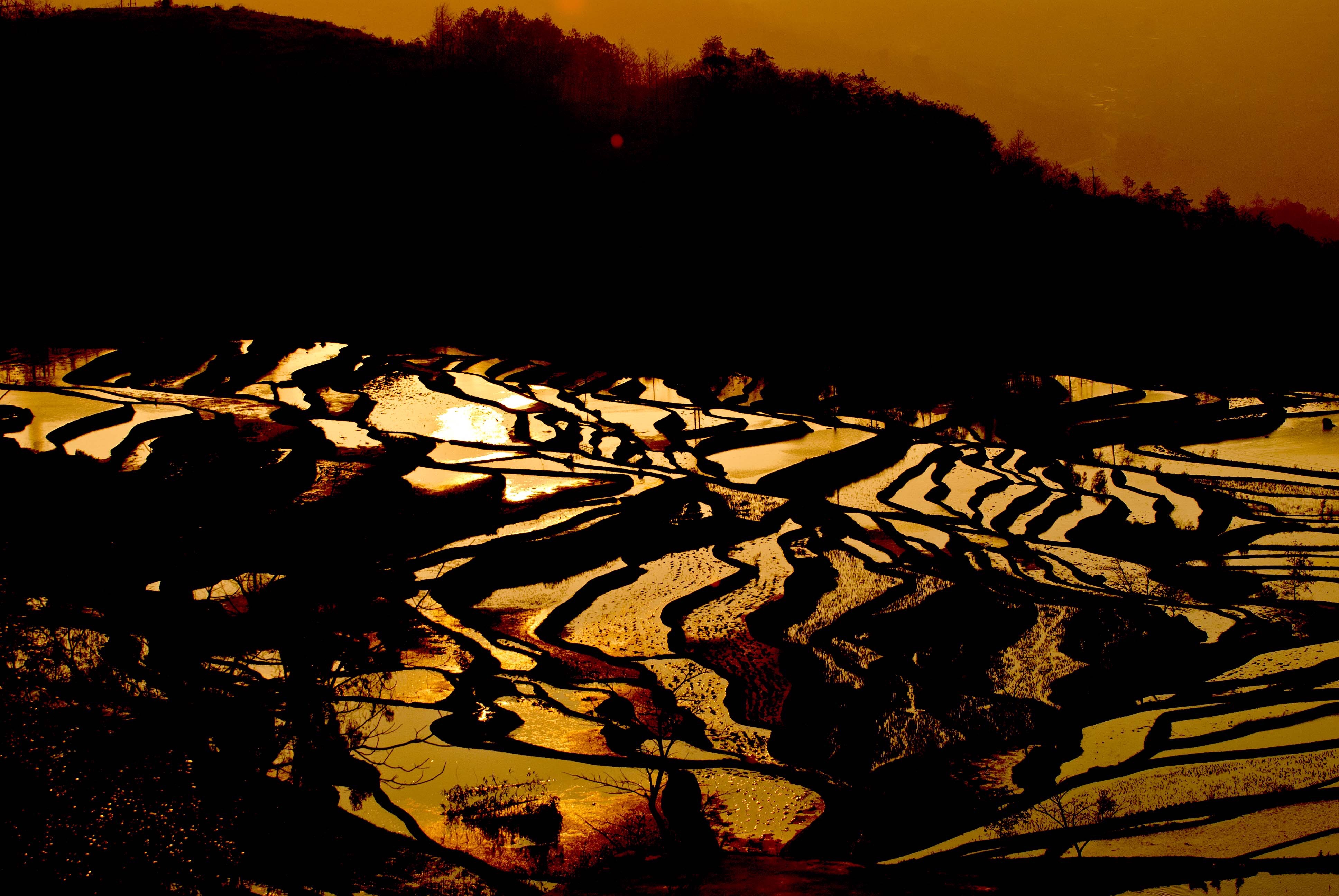 2022年春节云南免费景区,云南春节最合适的景点是哪些