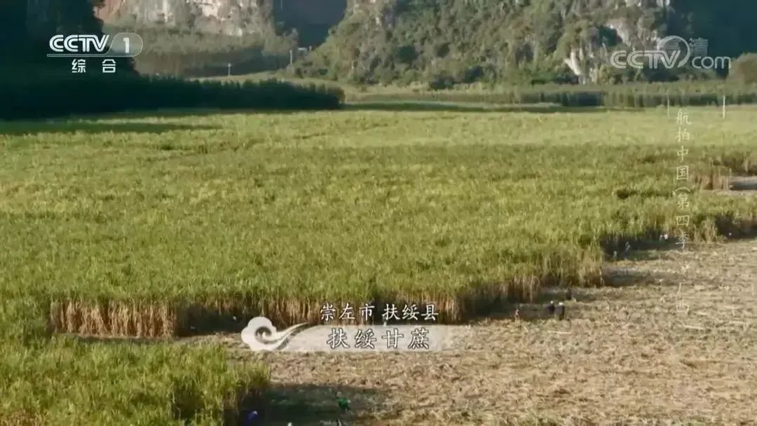 航拍中国广西第四季解说词,航拍中国第四季广西在哪看