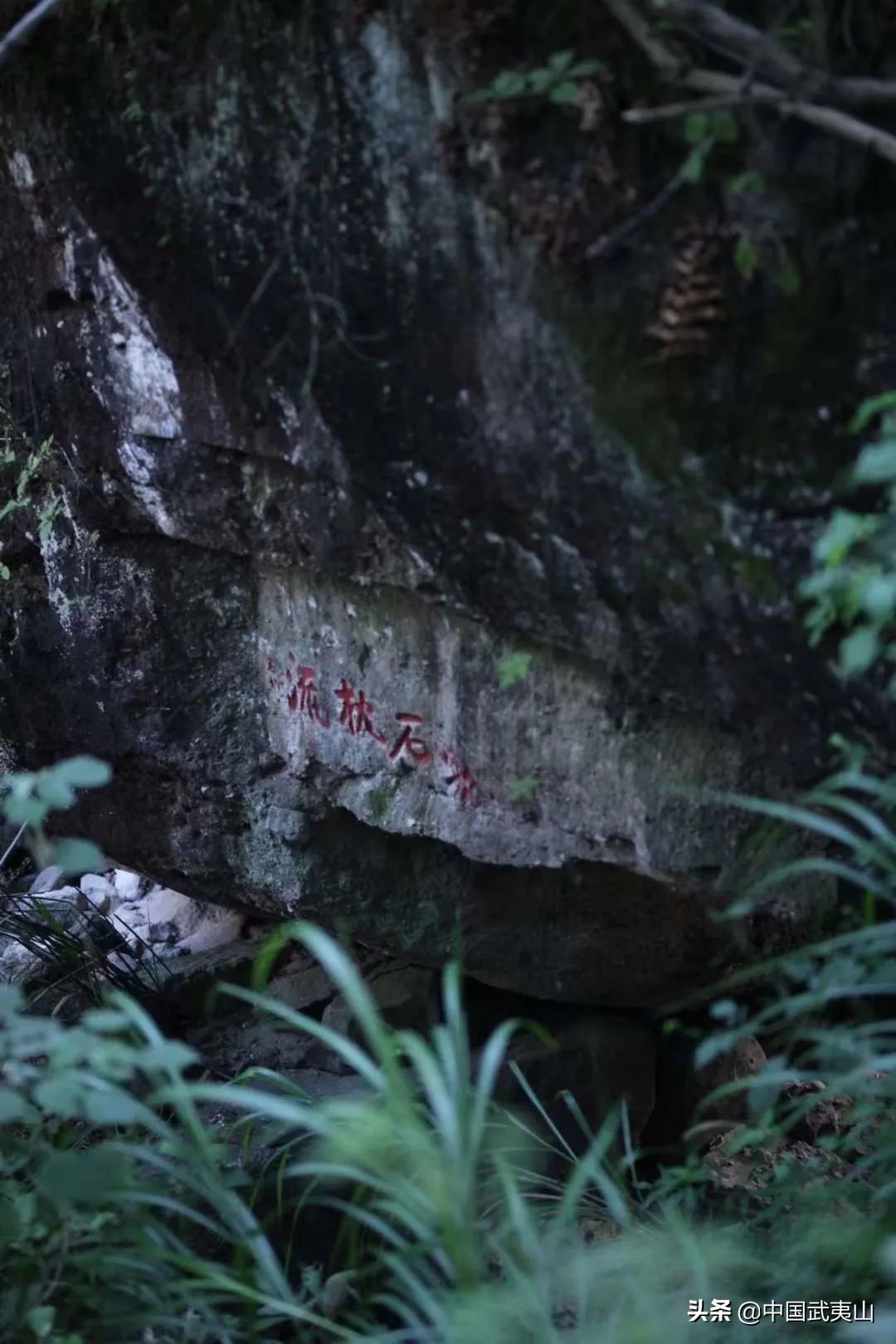 武夷山3-4天攻略,自由行武夷山攻略