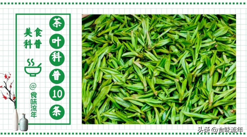 茶叶的基础知识茶之源图文,爱喝茶的你必须了解的茶叶冷知识