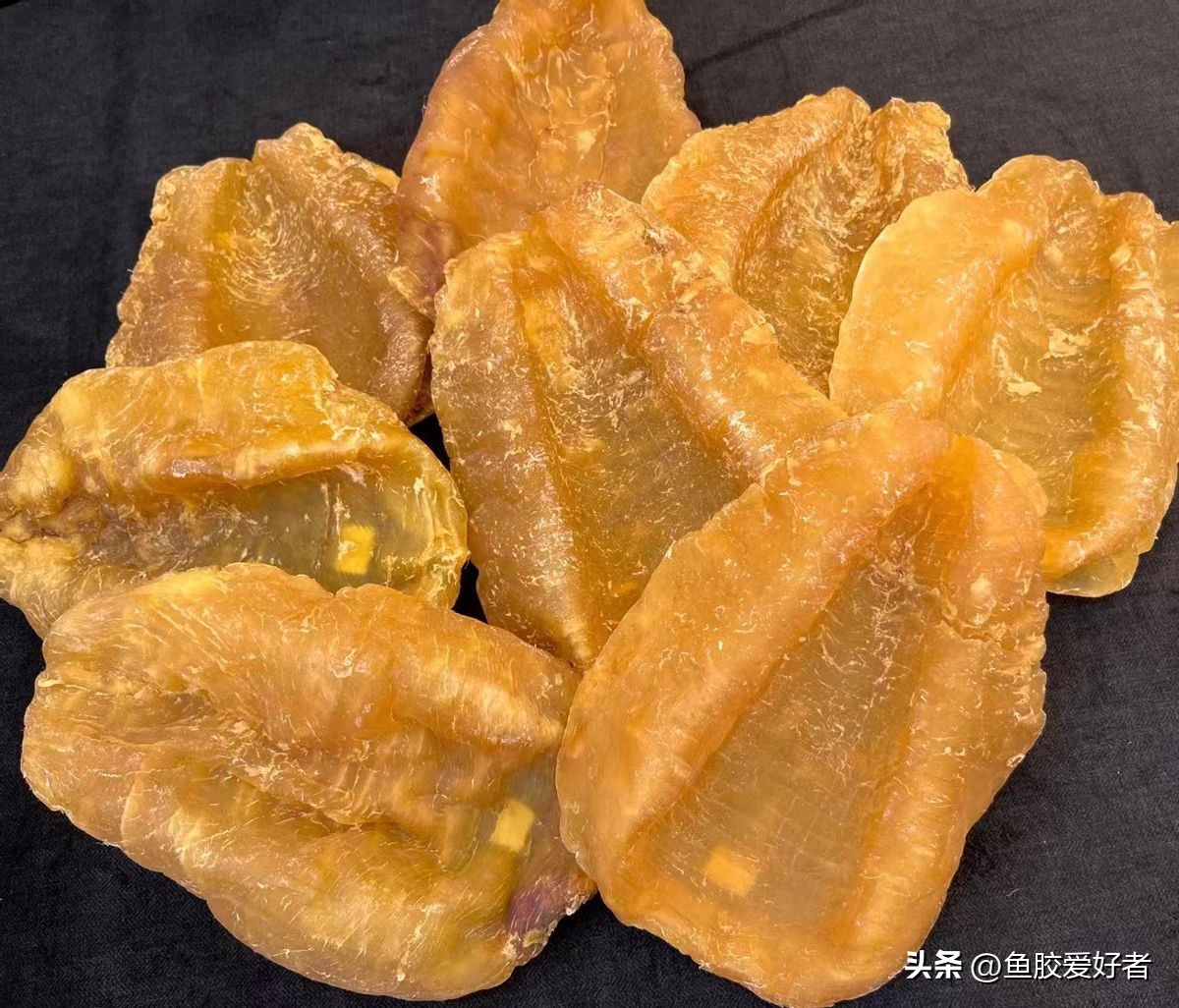 鱼胶花胶怎样使用,鱼胶花胶知识分享