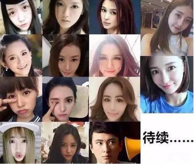 王思聪宠物狗一年花费上百万,王思聪的宠物狗