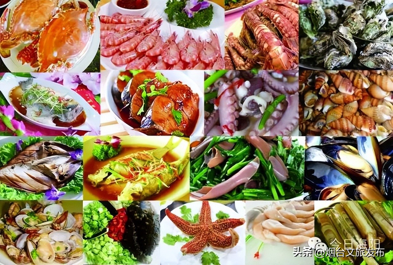 魅力海阳行,魅力新浦海阳