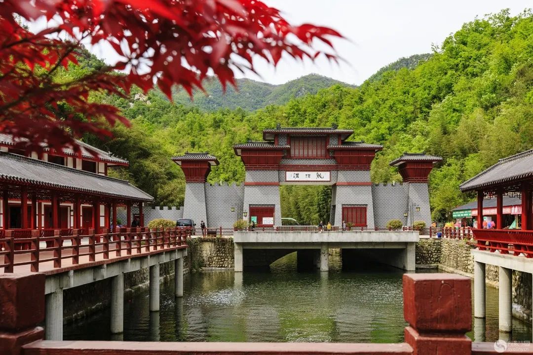 多地景区官宣免费洛阳免费门票,洛阳2024年景区政策