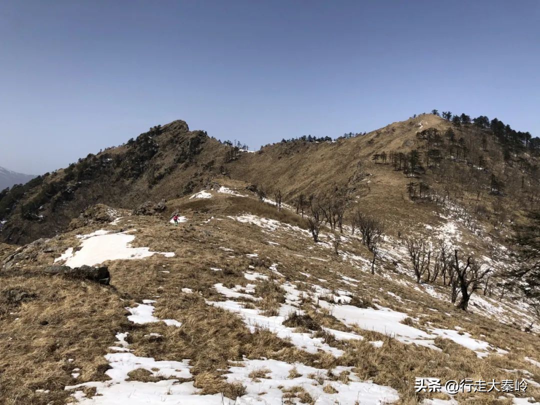 首阳山穿越大坪梁景色怎么样,大坪梁穿越到首阳山攻略