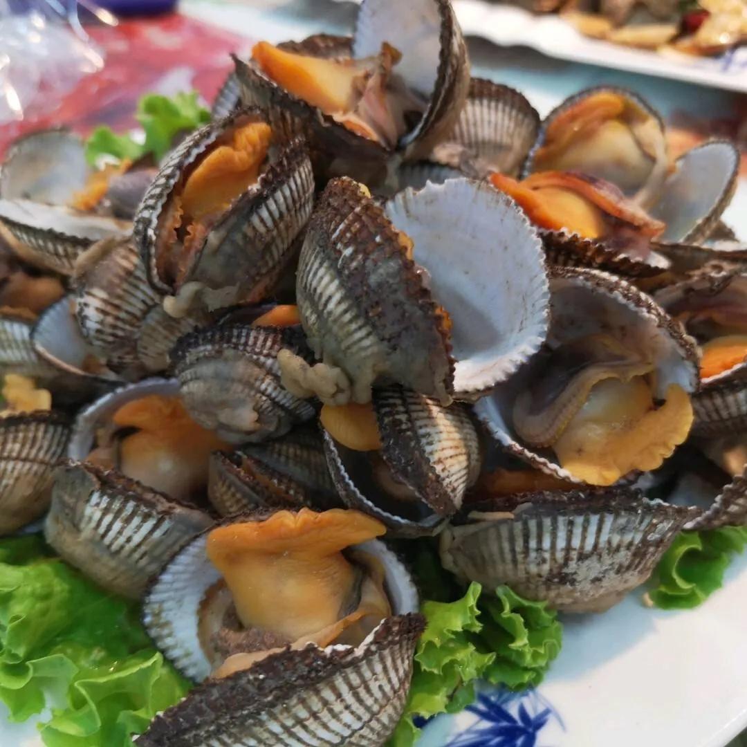 世界电影之都青岛,青岛中国电影之岛