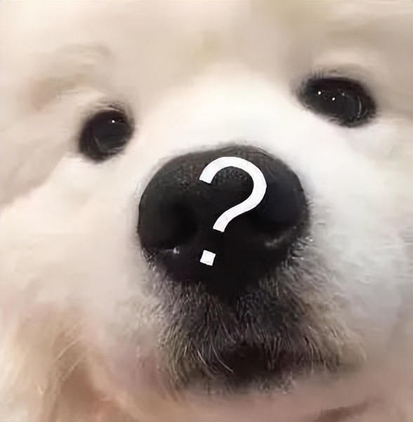 天下无诈诈骗犯亲自示范打电话,天下无诈诈骗头目