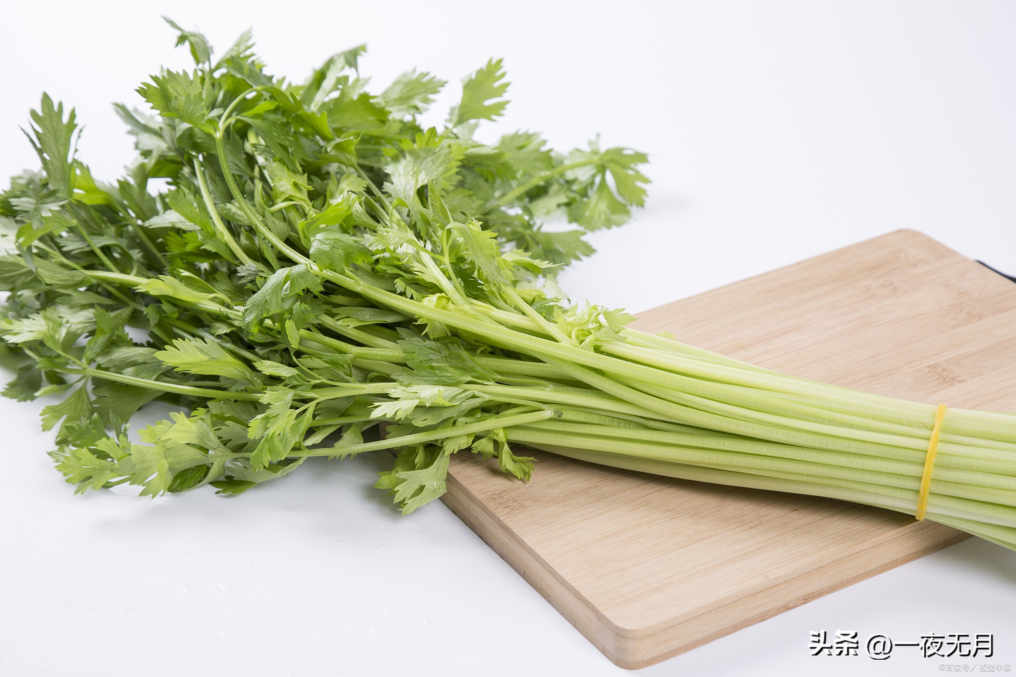 你每天都吃的什么,你每天都会吃什么呢