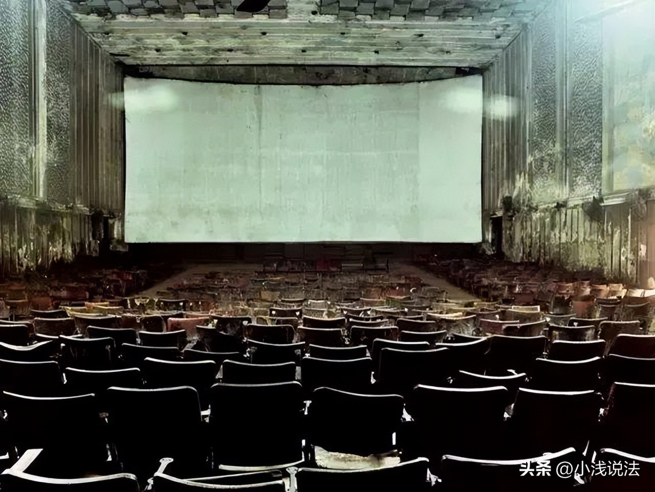 上海情杀案纪实全集,1997年上海情杀案