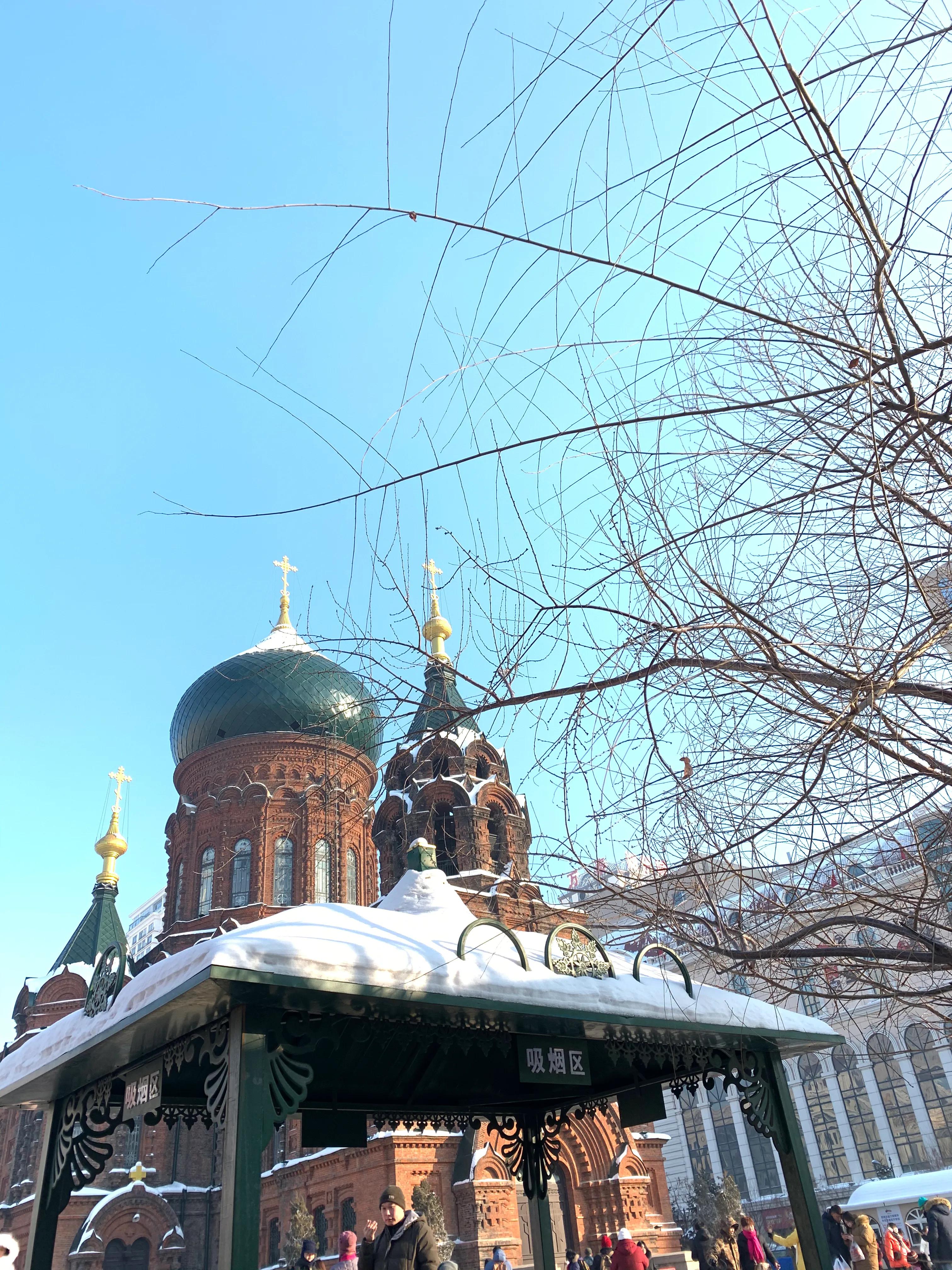 哈尔滨市的伏尔加庄园有旅游团吗,哈尔滨伏尔加庄园在哪个区