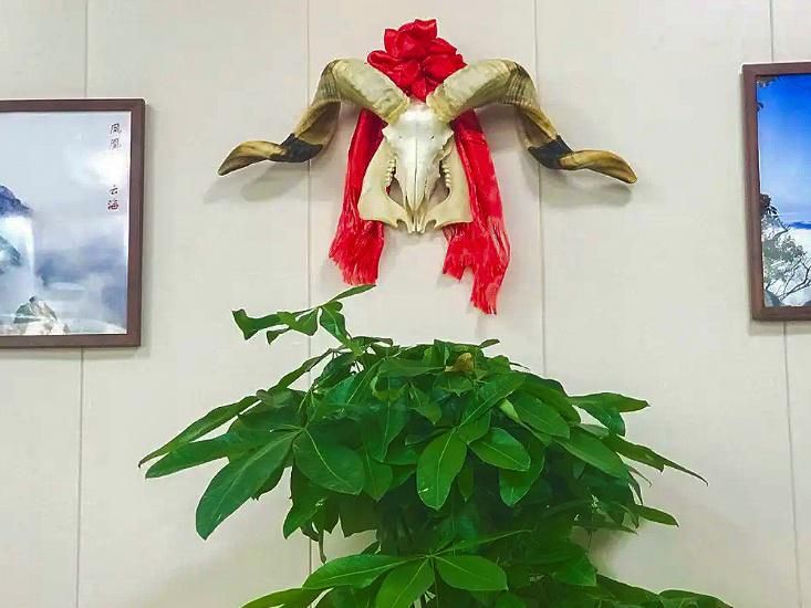 大厨做羊肉汤的技巧,正宗羊汤简单配方大全