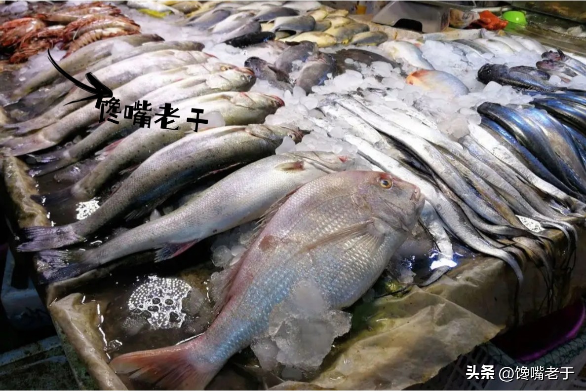 5种当季海鲜价格便宜营养好,海鲜正当季6月必吃的10大海鲜