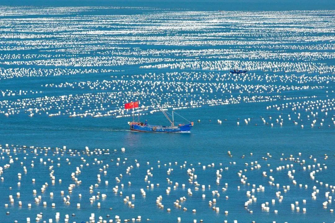 舟山各个岛旅游排名,千岛之城旅游攻略
