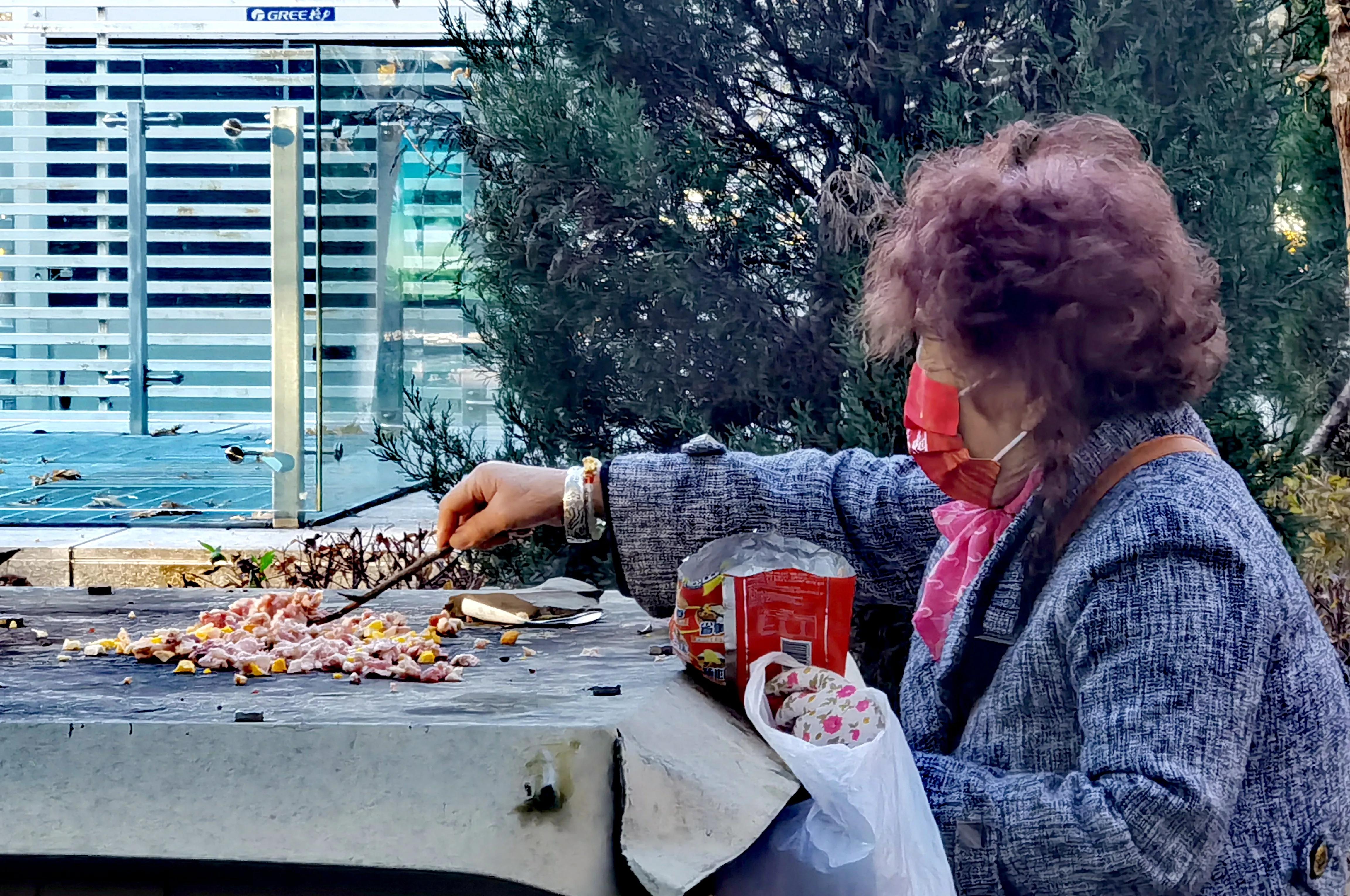 「天下奇观」喜鹊到底算什么鸟活见大妈喂喜鹊吃食真相