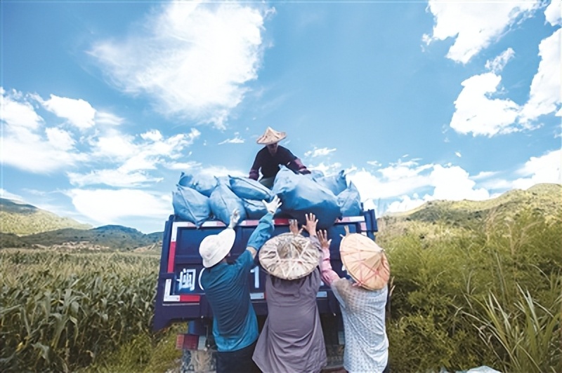 钃濈敯涔℃潙鎸叴绉嶆椤圭洰鍚嶅崟,鎾傝崚鍦扮浼樿川绋诲甫鍔ㄨ传鍥版埛澧炴敹