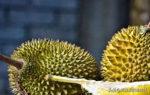 最好吃水果是哪种,世界公认最好吃的十大水果