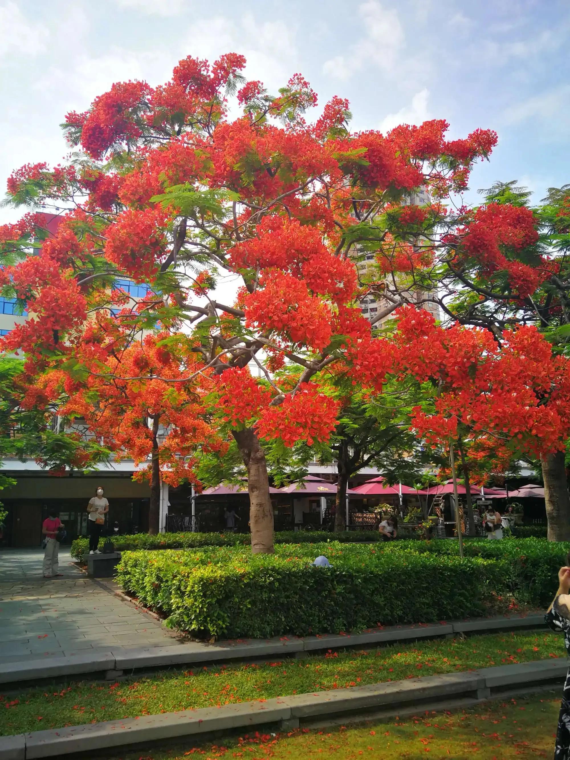 国色天香秀色可餐的美女 (秀色可餐与国色天香)