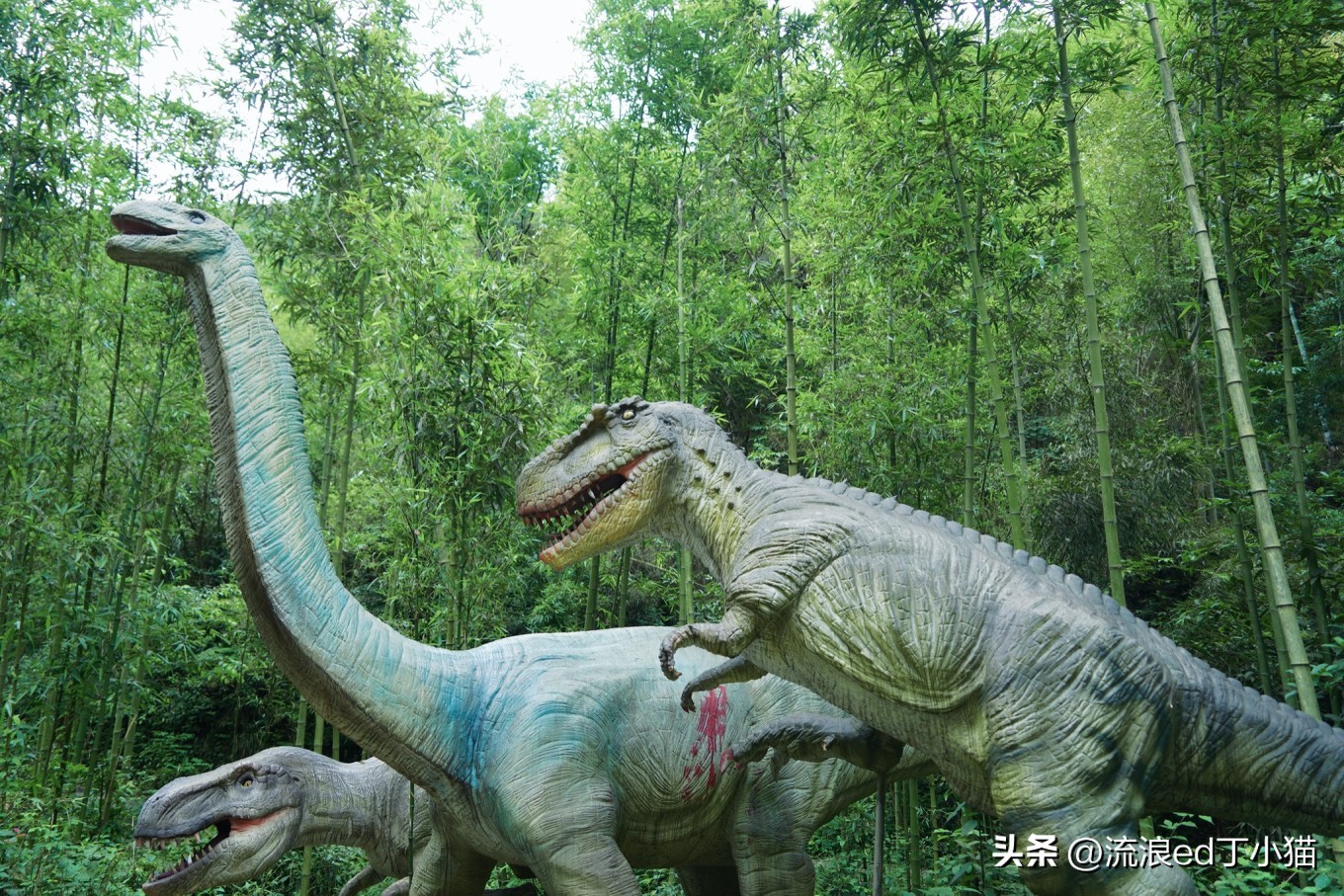 杭州周边游桐庐夏日避暑漂流攻略,桐庐夏天附近避暑最佳旅游地