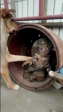 女孩子问我404是什么意思,女孩子说404是什么意思