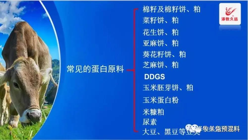 豆粕成本价格计算公式,豆粕上涨养猪的能提价吗