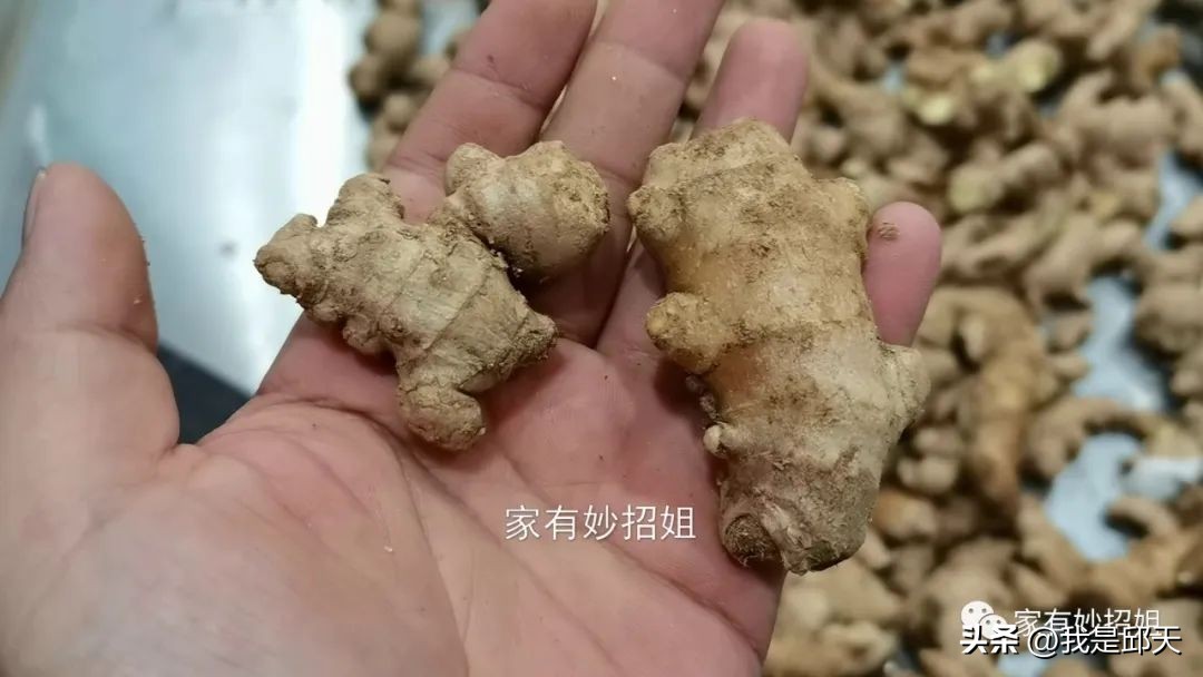 买生姜时你一般是哪种习惯,买生姜该怎么选