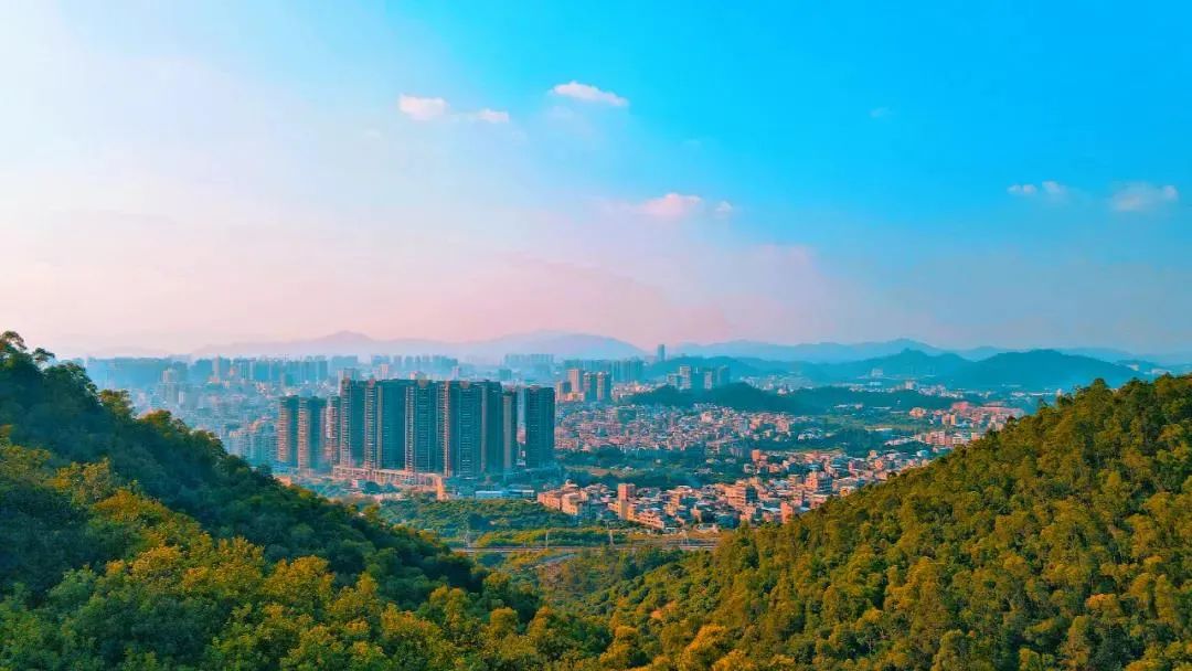 与春天撞个满怀的意思是什么,在棠梨湖公园邂逅春天