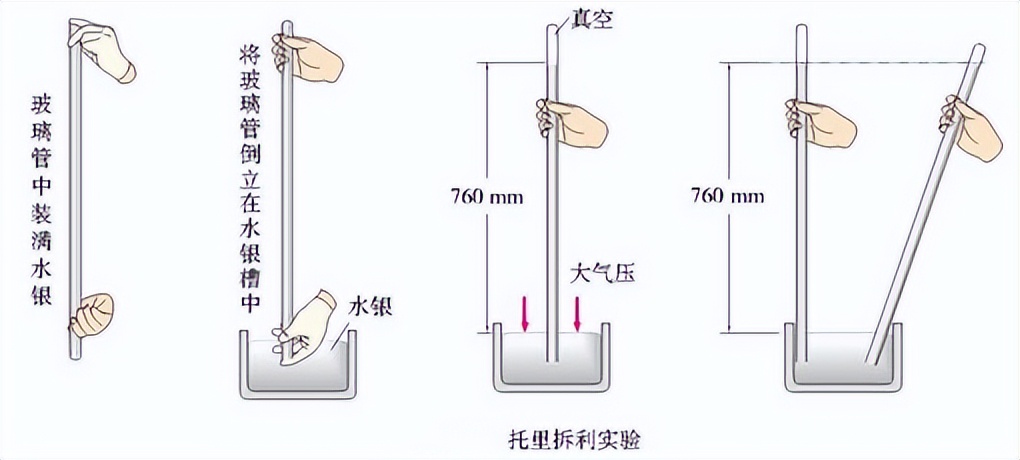 科学知识大全小学生必背,科学知识大全全集