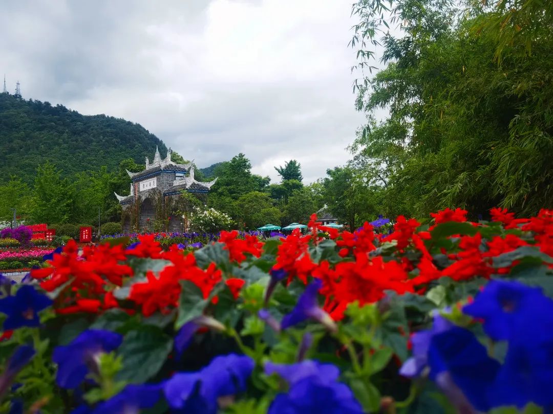 必去的花溪公园,假期余额不足游玩依旧火热