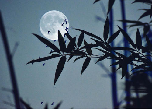 最值得收藏的100首五言绝句,惊艳古今的五言绝句