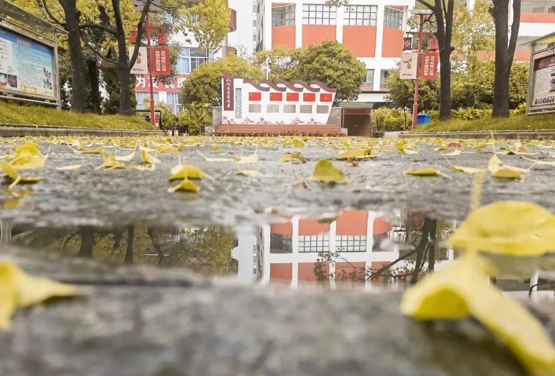 秋季限定|昆明九所学校，送你诗意校园里的一抹金