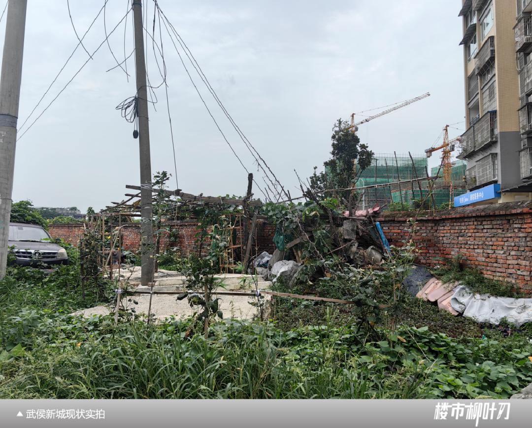 成都武侯新城板块,成都主城区板块分析最新