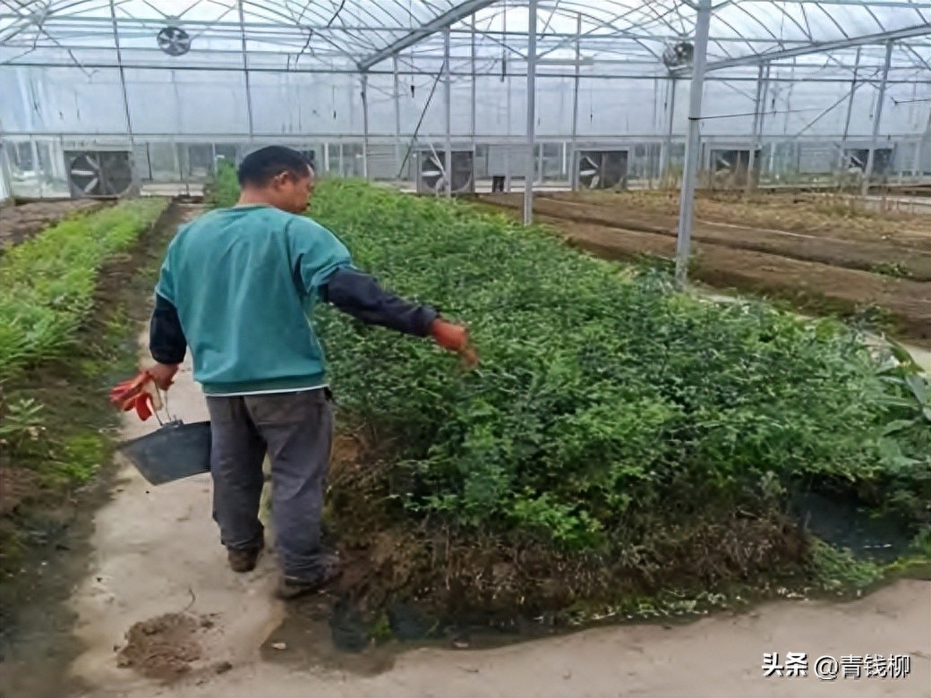 秋日暖阳之下,秋日暖阳下