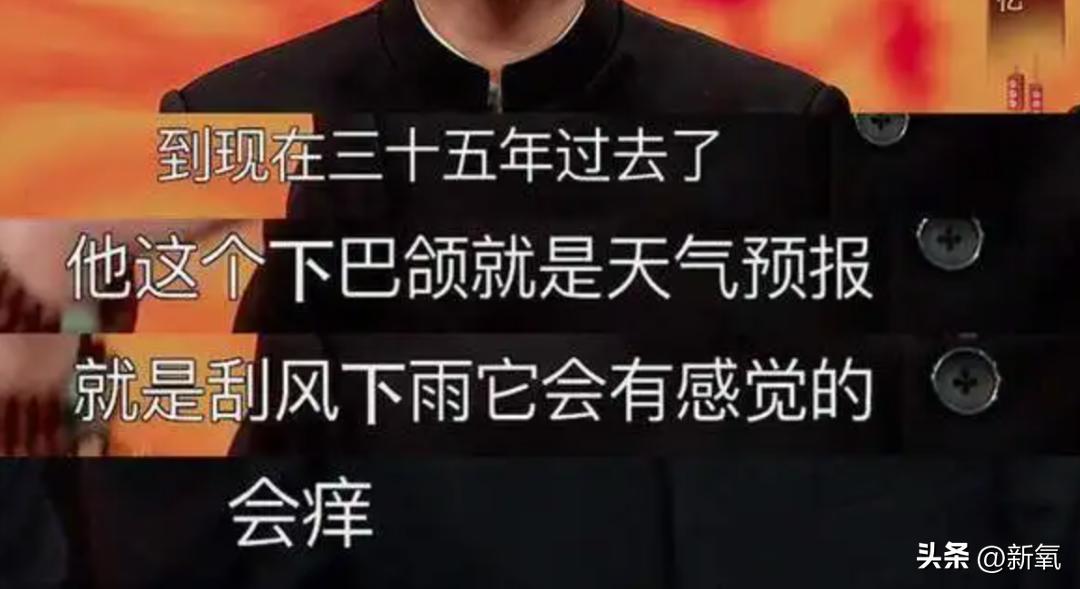 椰树财阀审美,财阀的眼光和椰树集团的审美