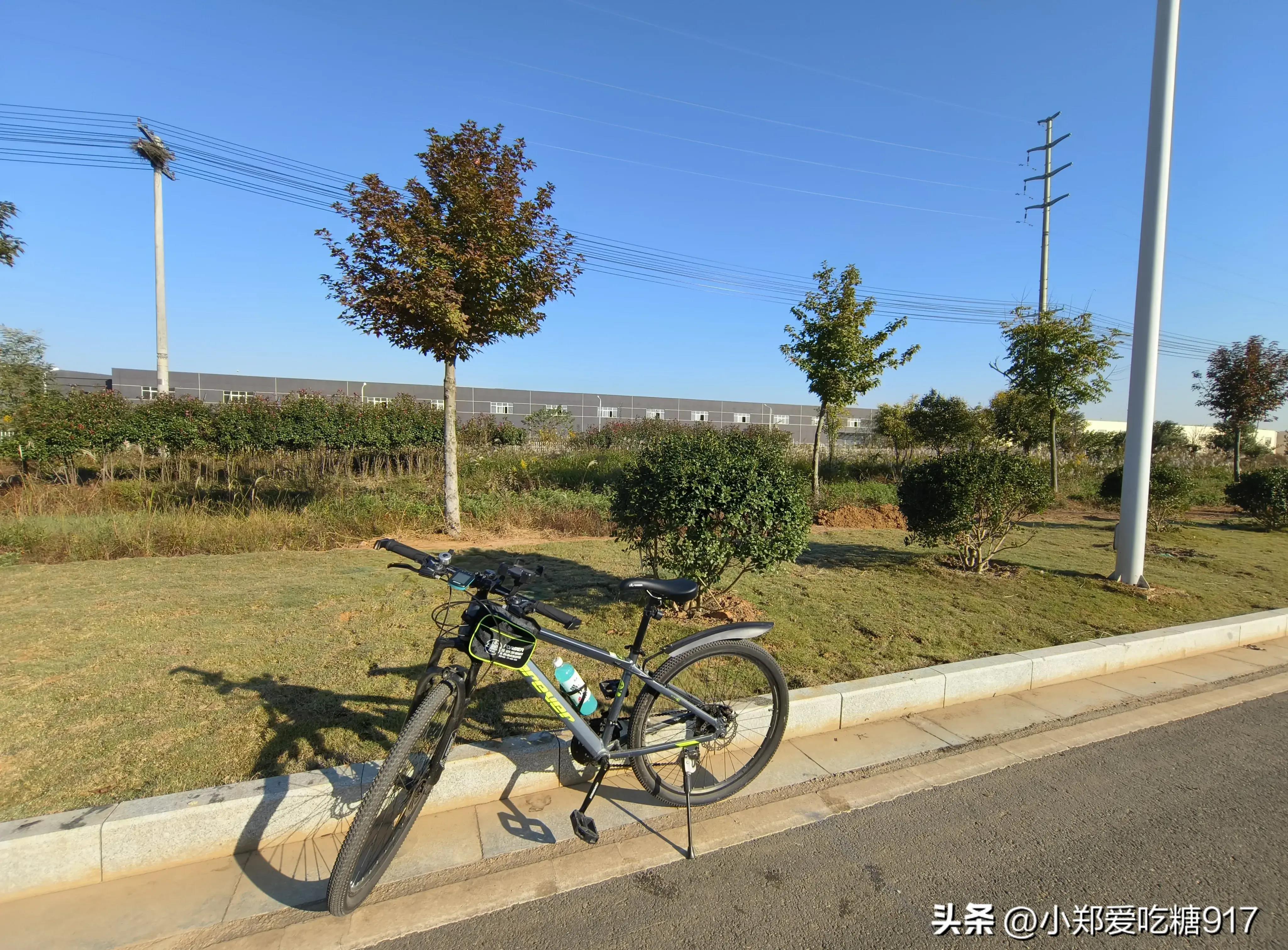 美利达捷安特哪个价格便宜,喜德盛美利达捷安特哪个实体店多