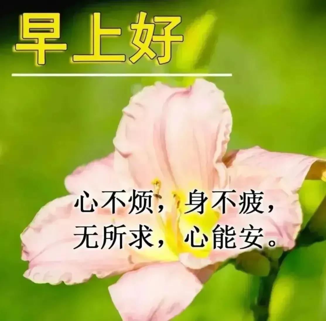 2023年03月03日星期五农历：癸卯年【兔年】二月十二八九第9天