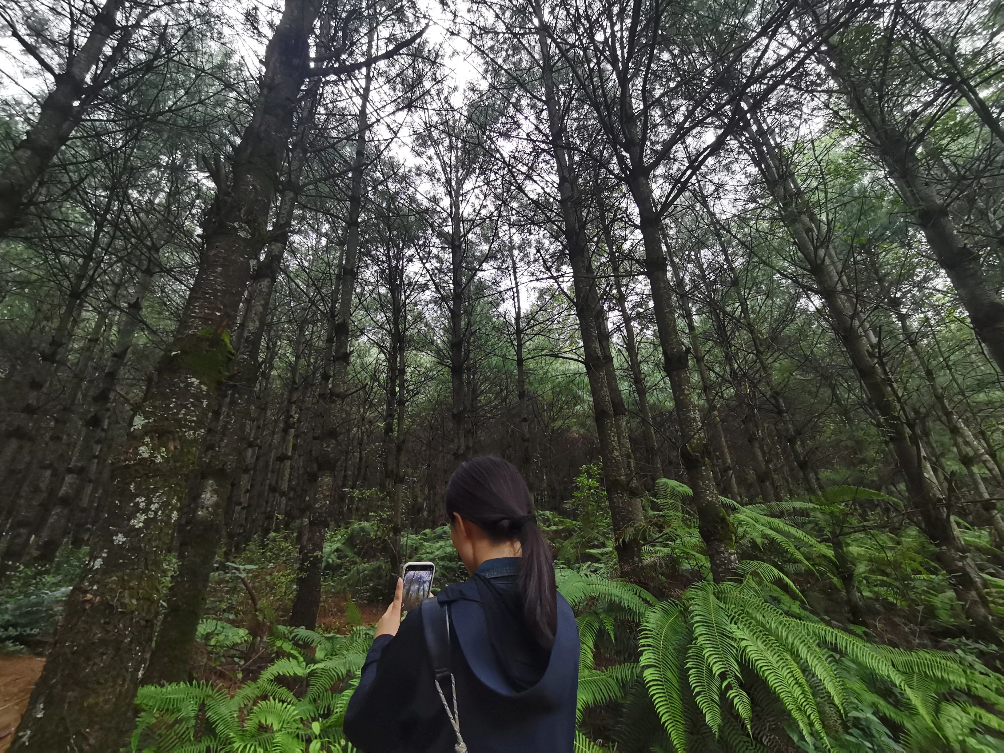 大理的天气很干燥,大理天气太干怎么办