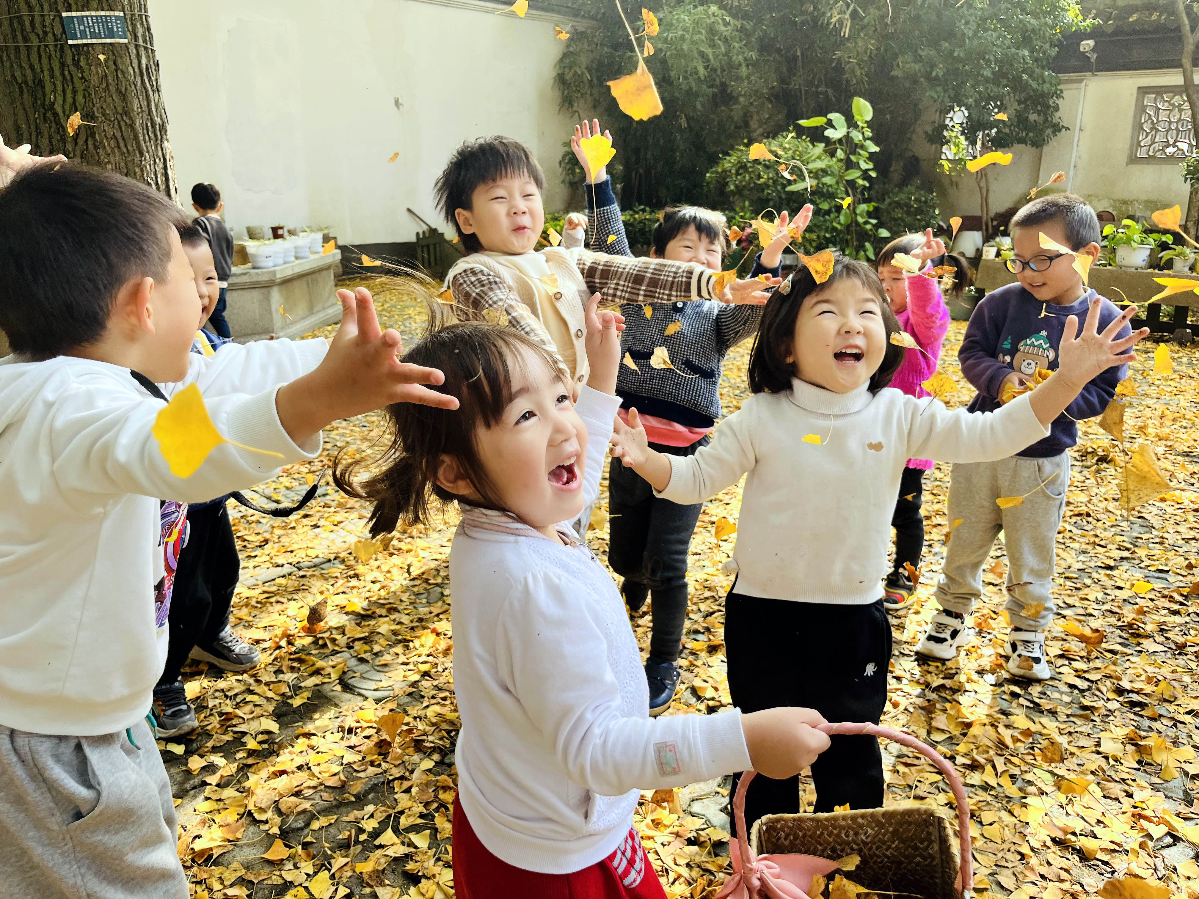 苏州小朋友用双手与银杏叶展开一场亲密接触享受快乐