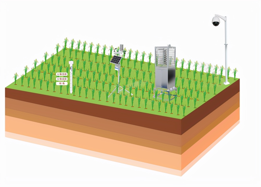 四情监测是什么意思,农业四情监测系统