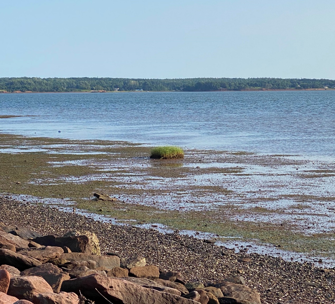 mc我的世界老玩家才知道的冷知识,我的世界mc只有老玩家知道的秘密