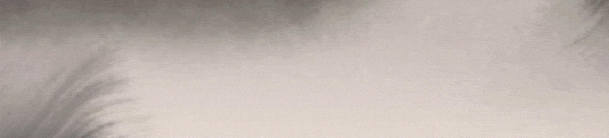 论述中国古代小说简史,简述中国古代小说文体发展简史