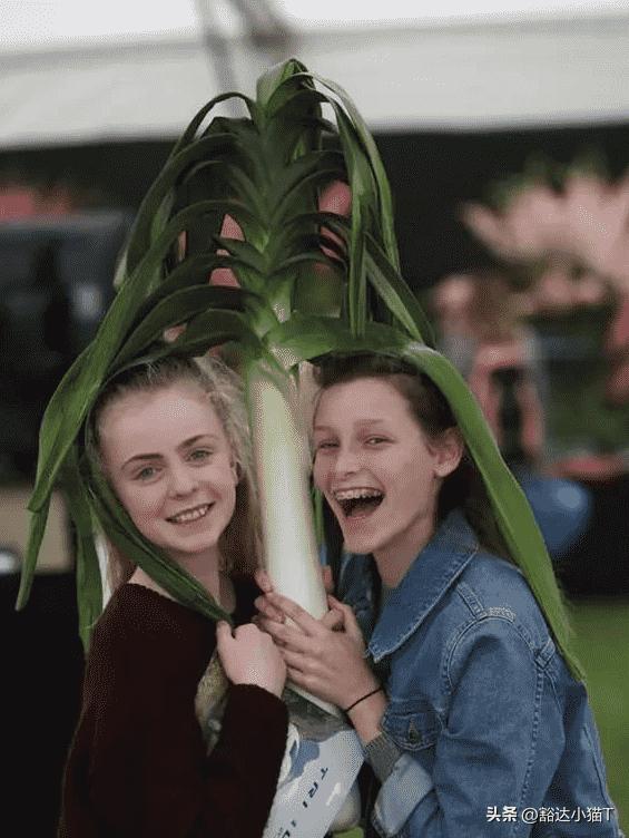 老照片晚清的小姐,晚清老照片名妓貌美如花