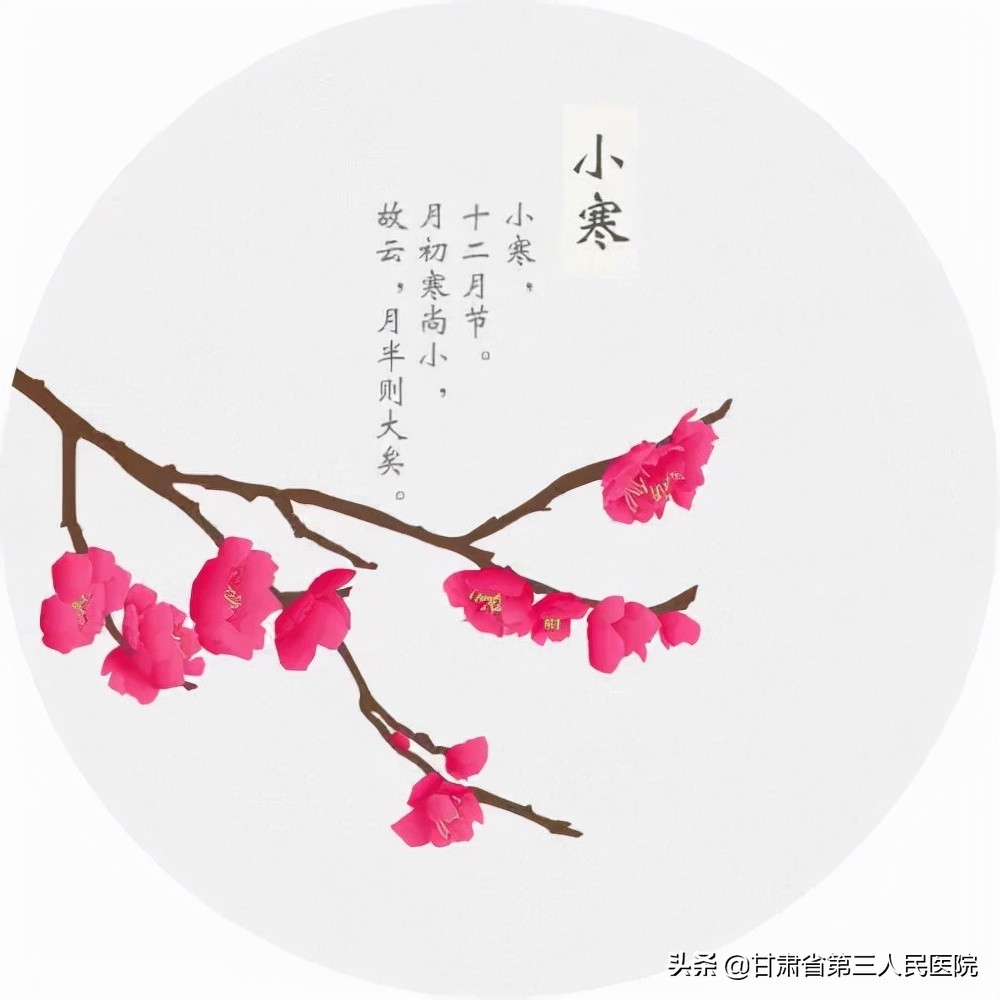 科普大讲堂音频全集,科普大讲堂饮食