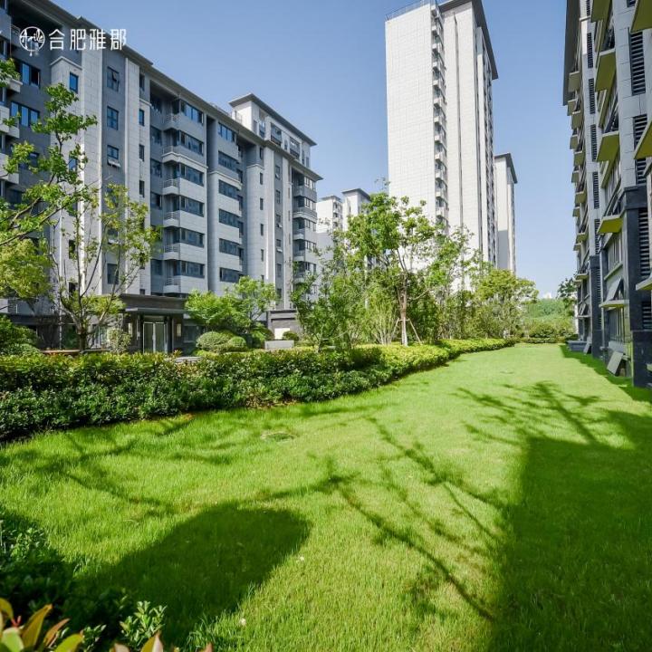 合肥十大热销楼盘,合肥品质楼盘推荐2024