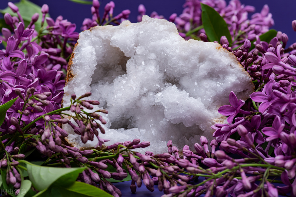 乌拉圭国家昵称,乌拉圭足球厉害