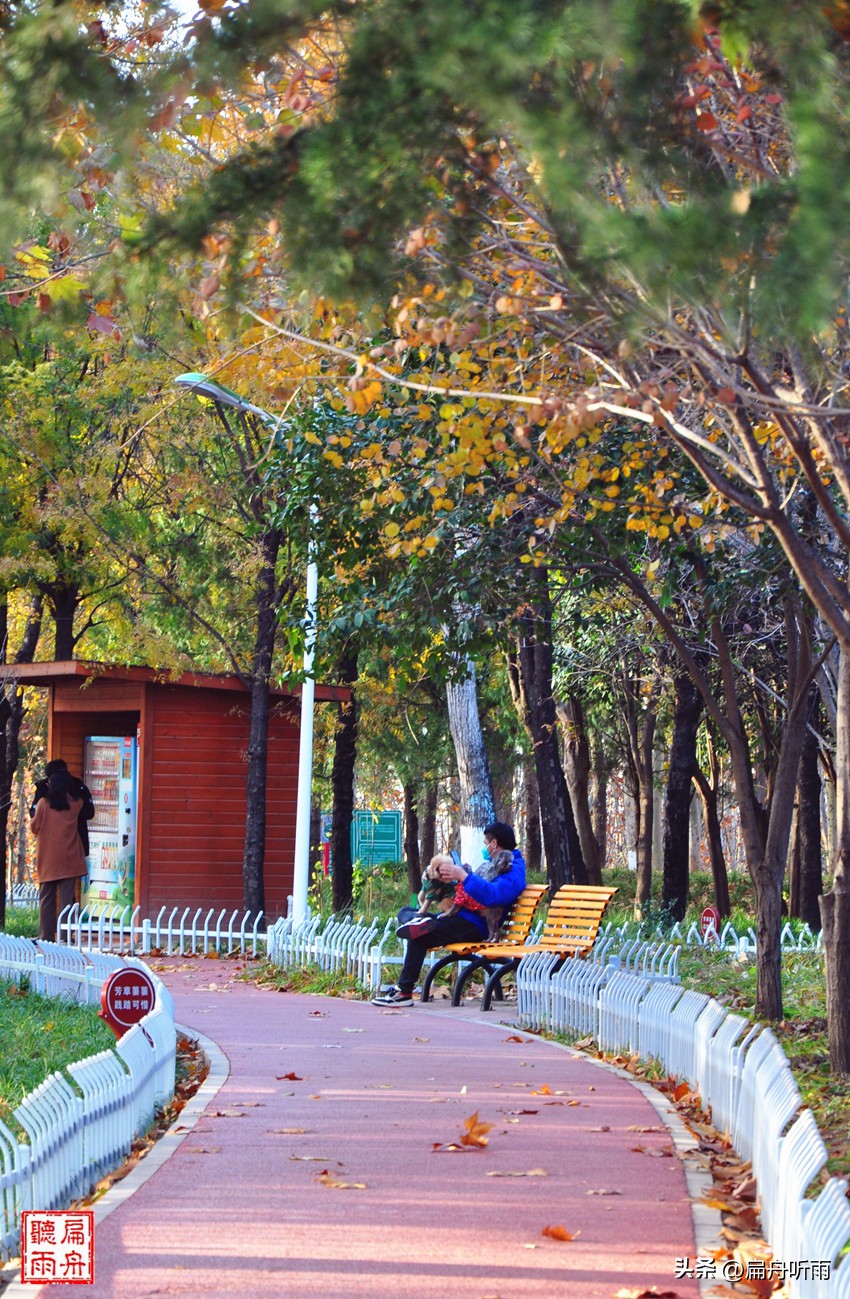7月郑州凉快遛娃公园排行榜,郑州龙子湖避暑遛娃的地方