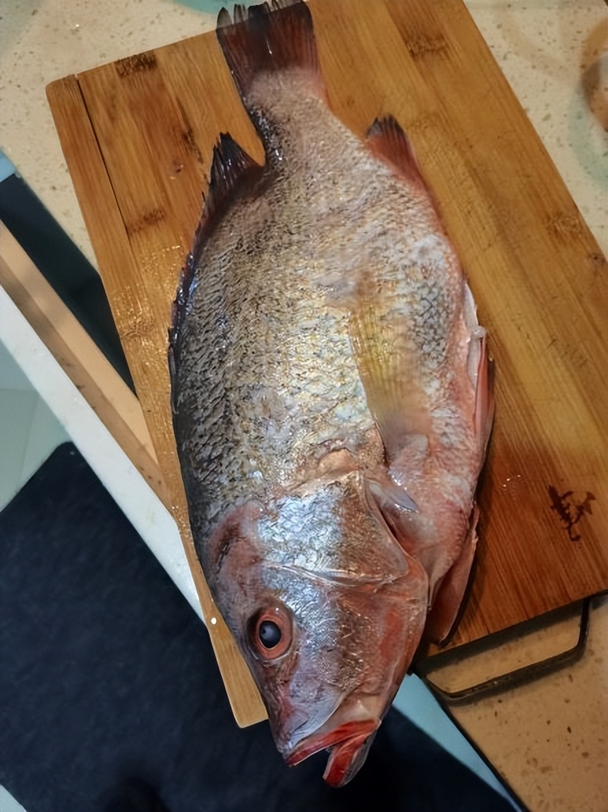 福建好玩的海边推荐,福建海岛旅游攻略自由行