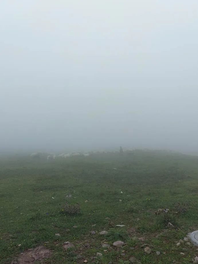 灏忓ぉ灞遍夯鐢板箔鏅尯浜戞捣,楹荤敯宀皬澶╁北璺ソ璧颁箞