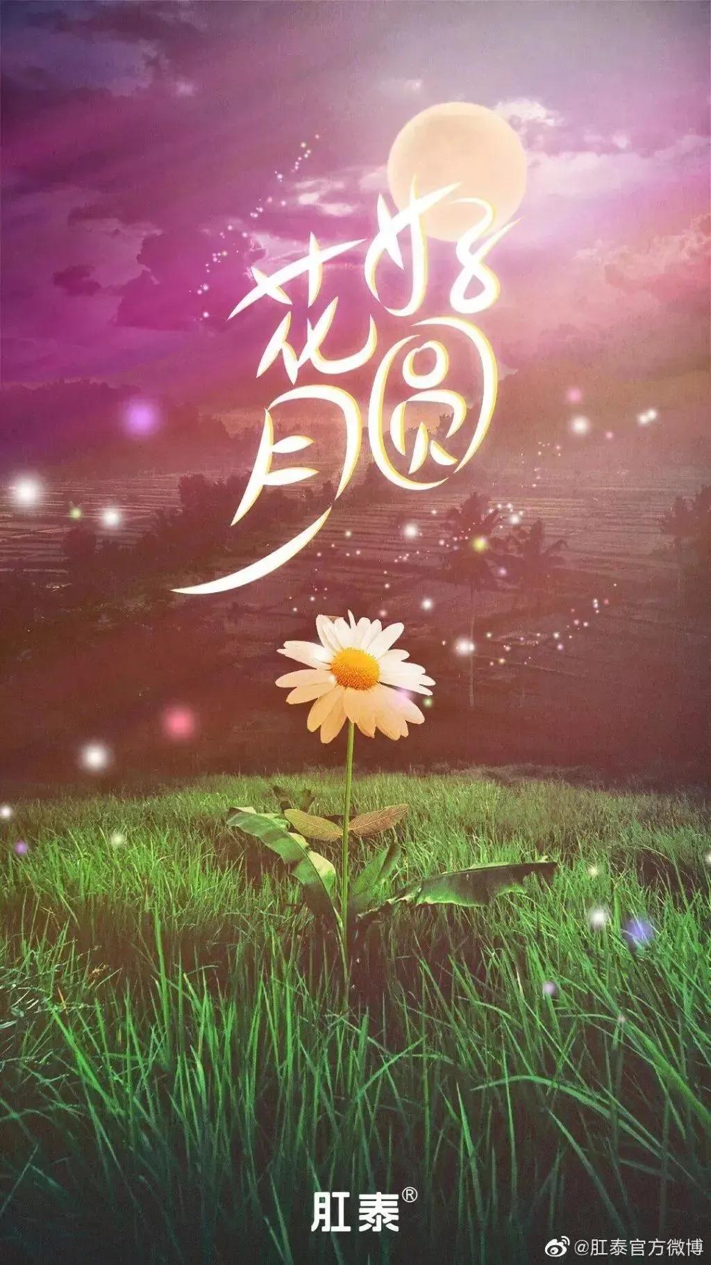 肛泰栓创意广告,肛泰肛肠科医院广告创意图片