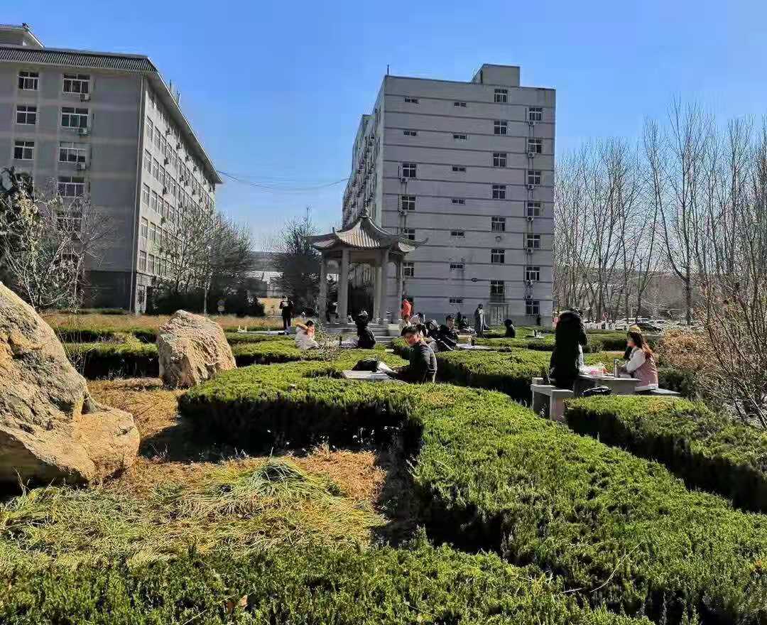 专科和中专哪个学历高,中专毕业生怎么读专科