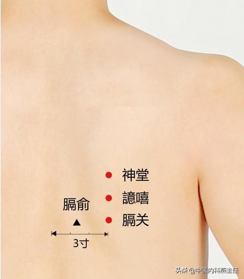 血海穴和委中放血,血海穴这个穴位在人体哪里